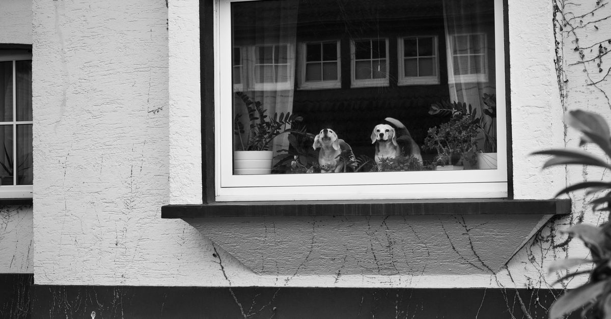 How to Assess the Skills Required for Installing Double Glazed Windows Yourself