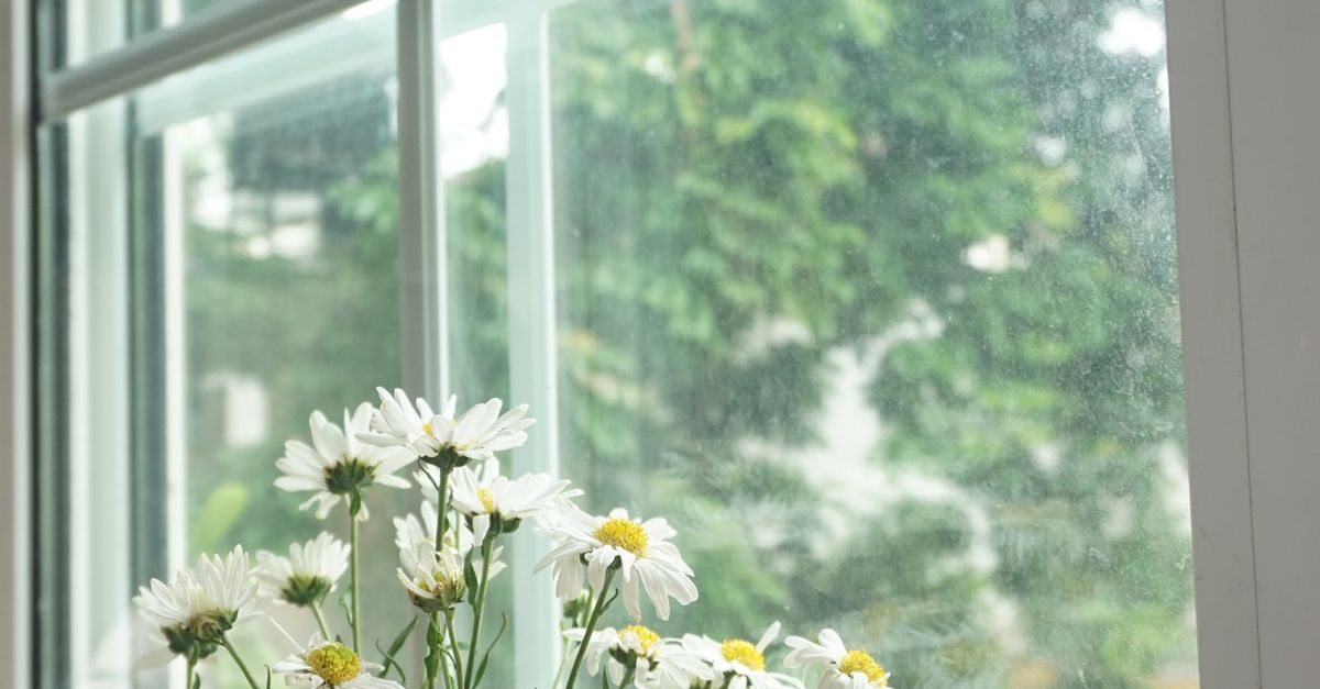 Verifying Window Functionality After Installation: A Checklist